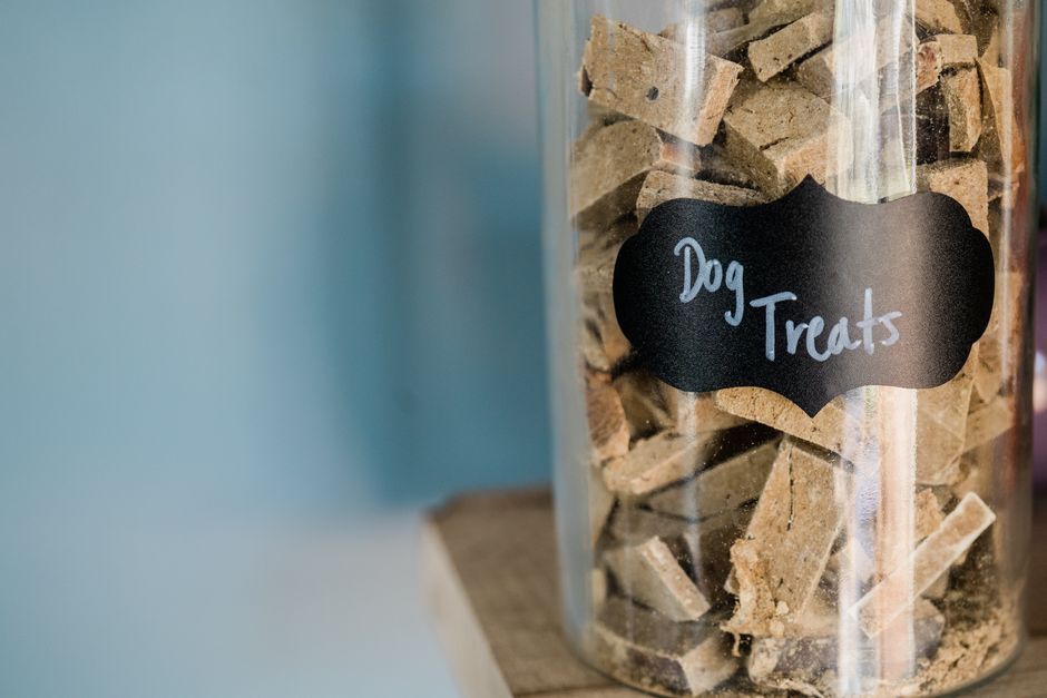 Comida casera para perros: recetas fáciles y nutritivas