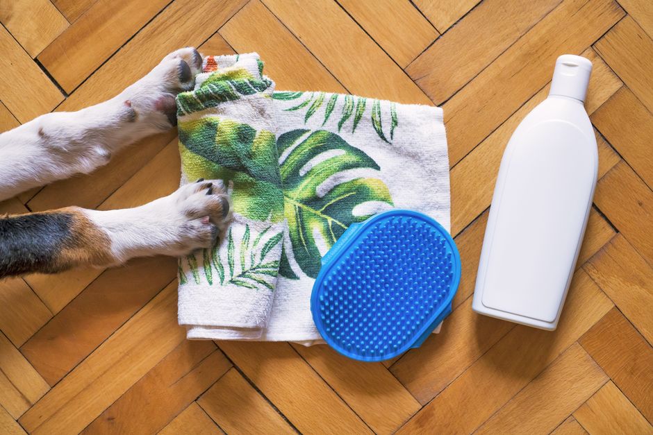 ANMAT prohibió un desodorante para perros y gatos: qué tenés que mirar