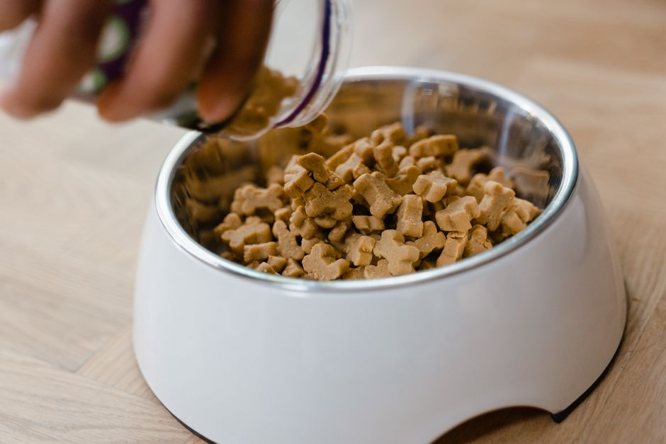 Retiran comida para mascotas en EE.UU. por salmonela y listeria: lo que tenés que saber