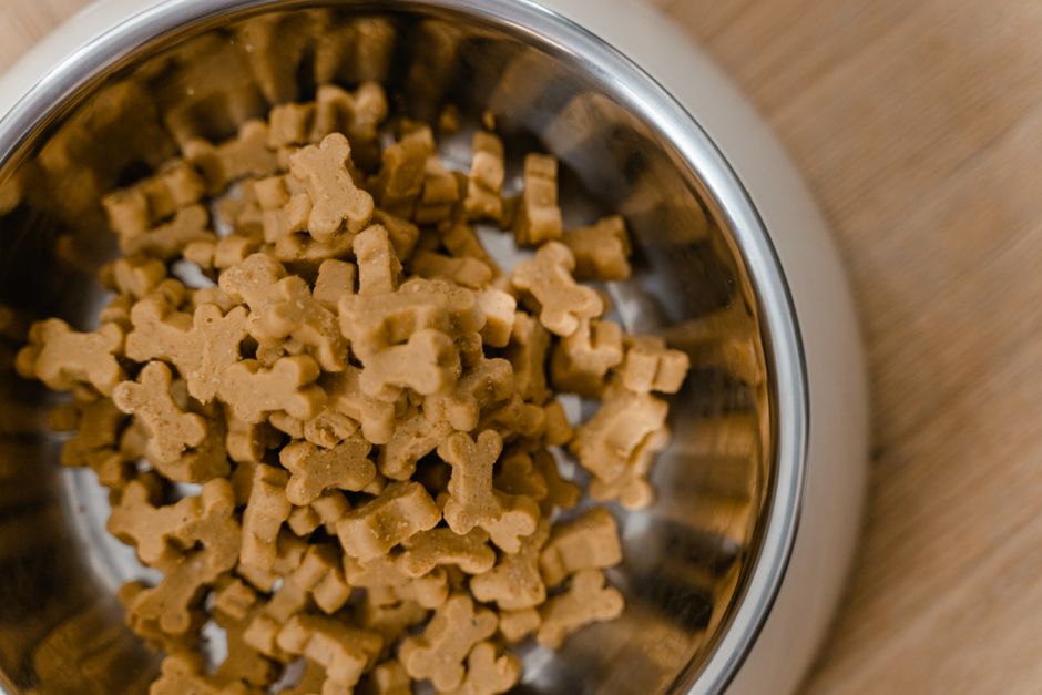 Retiro de alimentos para perros por salmonela: qué tenés que mirar hoy