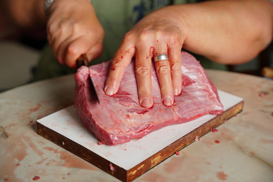 Alerta FDA: retiran alimento crudo Darwin’s por E. coli y Salmonella. Mirá qué hacer